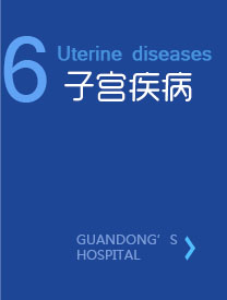子宫疾病