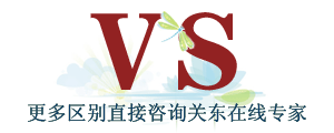 专家咨询