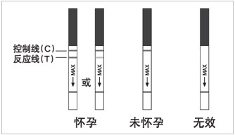 早孕试纸反应图 早孕试纸反应图