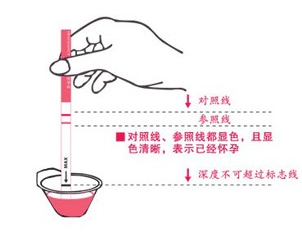 早孕试纸使用方法